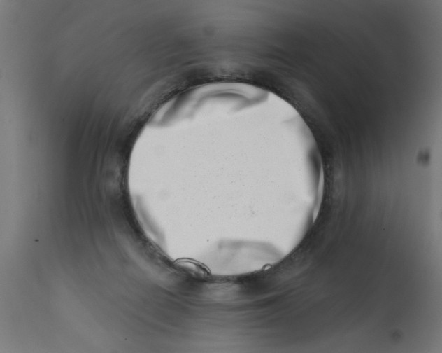 X0000113200266200910081259