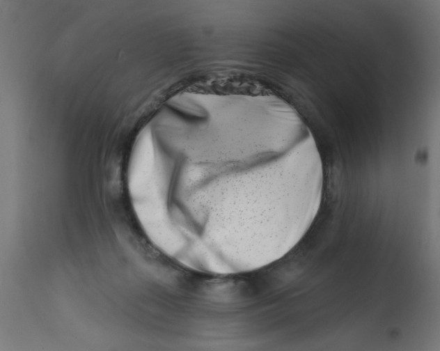 X0000113200267200910081259