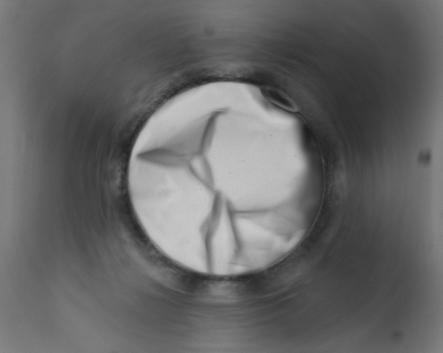 X0000113200268200910081259