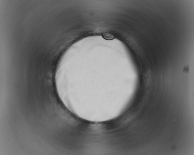 X0000113200269200910081259