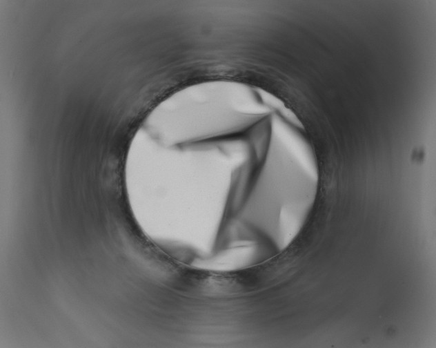 X0000113200270200910081259