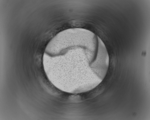 X0000113200271200910081259