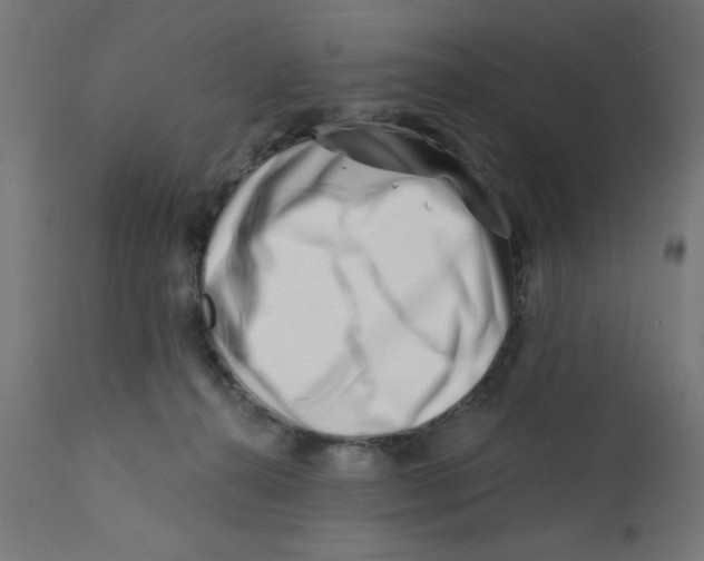X0000113200272200910081259