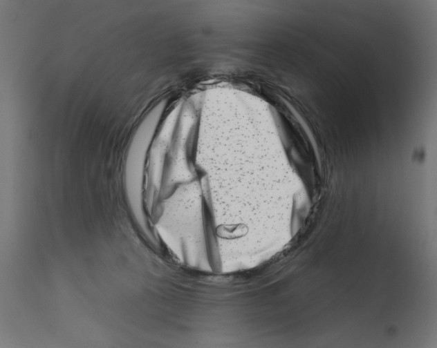 X0000113200273200910081259