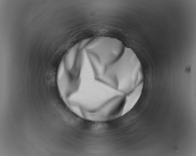 X0000113200274200910081259