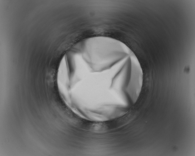 X0000113200275200910081259