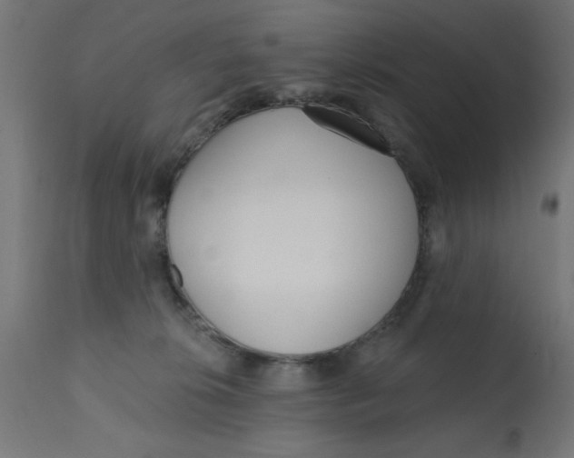 X0000113200276200910081259