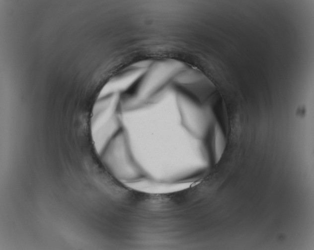 X0000113200278200910081259