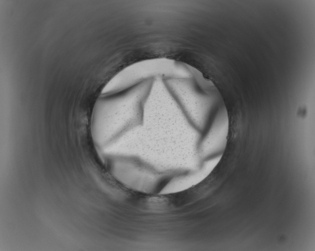 X0000113200279200910081259
