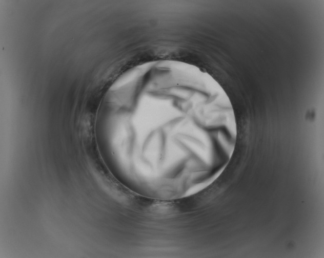 X0000113200280200910081259