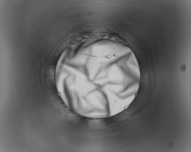 X0000113200281200910081259