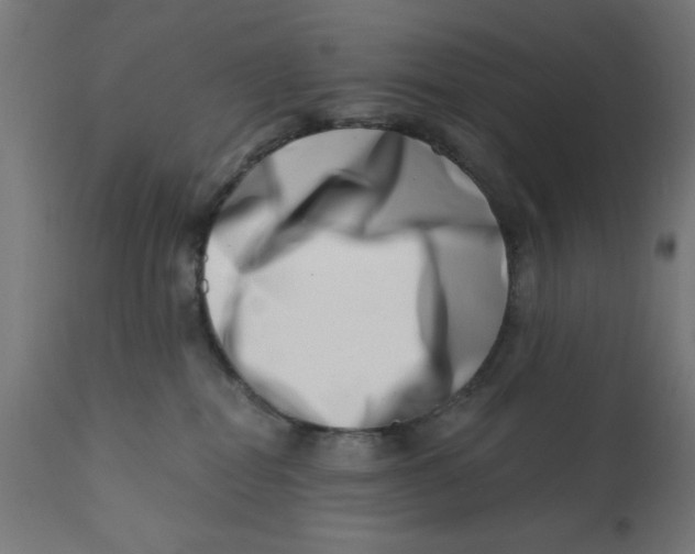 X0000113200282200910081259