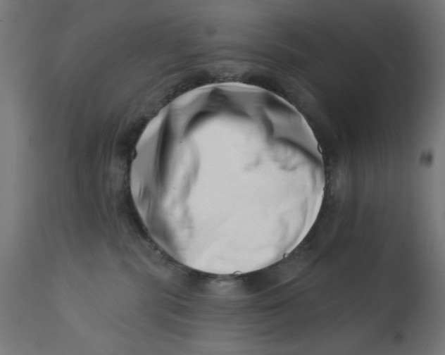 X0000113200283200910081259