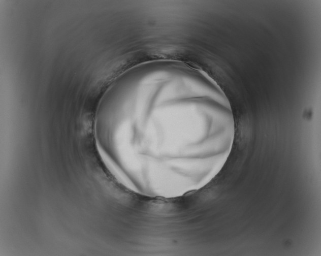 X0000113200284200910081259