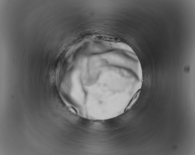 X0000113200285200910081259