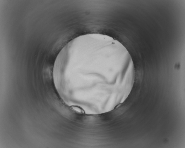 X0000113200286200910081259