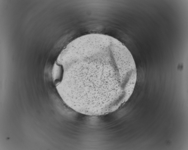 X0000113200287200910081259