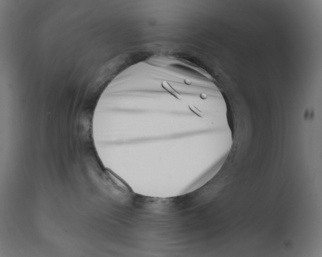 X0000113200288200910081259