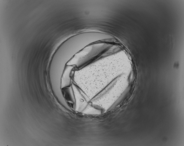 X0000113200289200910081259