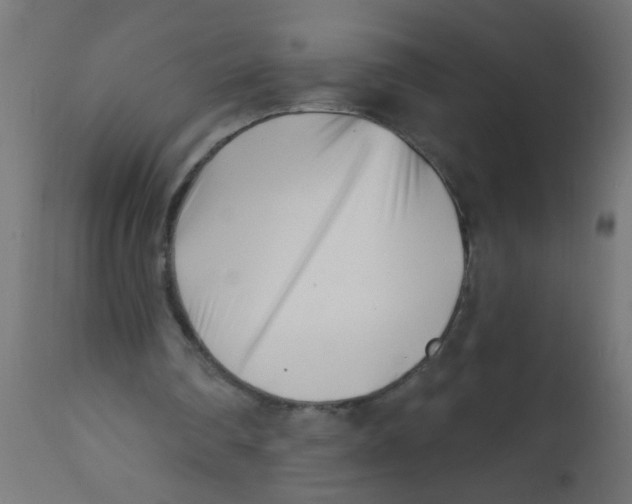 X0000113200290200910081259