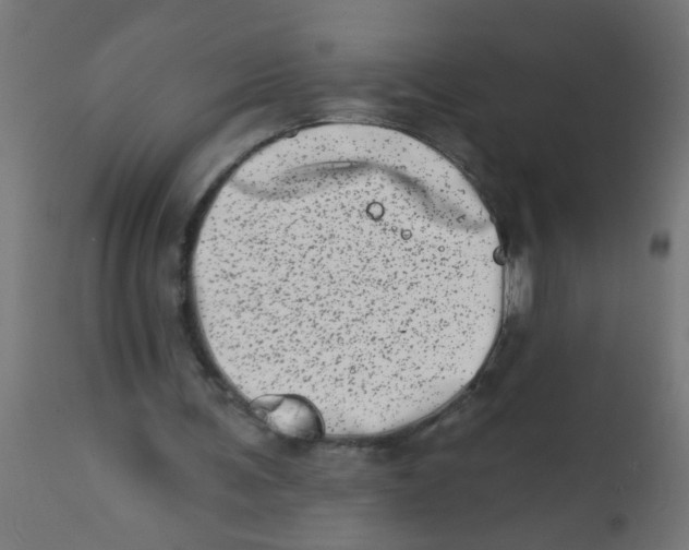 X0000113200291200910081259