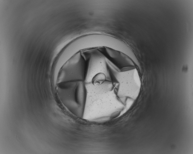 X0000113200292200910081259