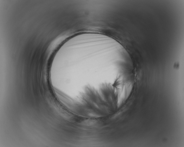 X0000113200294200910081259