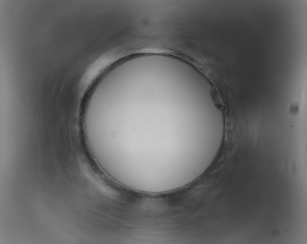 X0000113200296200910081259