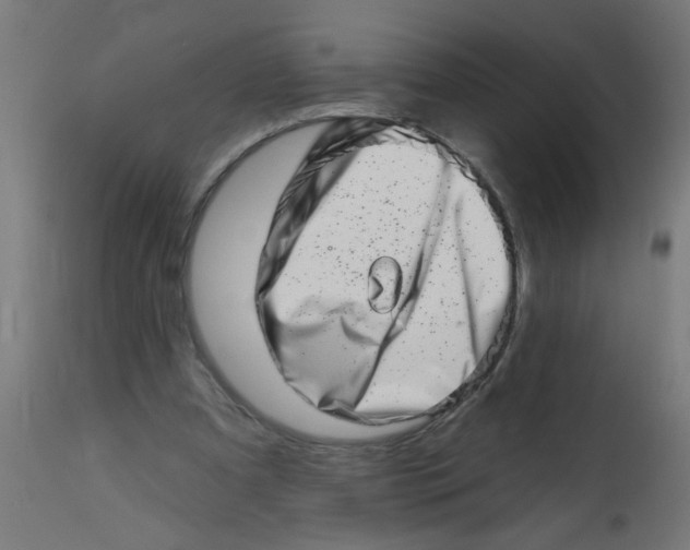 X0000113200297200910081259