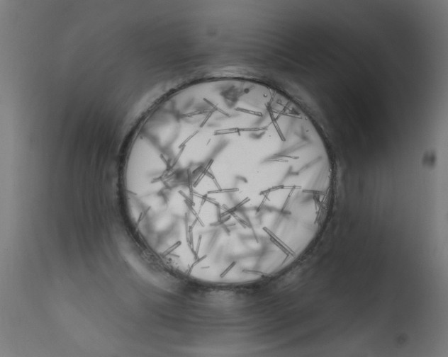 X0000113200298200910081258
