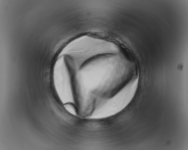 X0000113200299200910081258