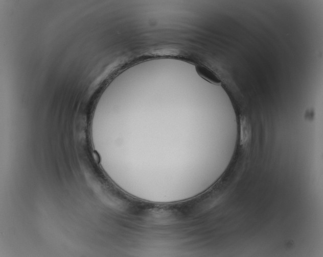X0000113200300200910081258