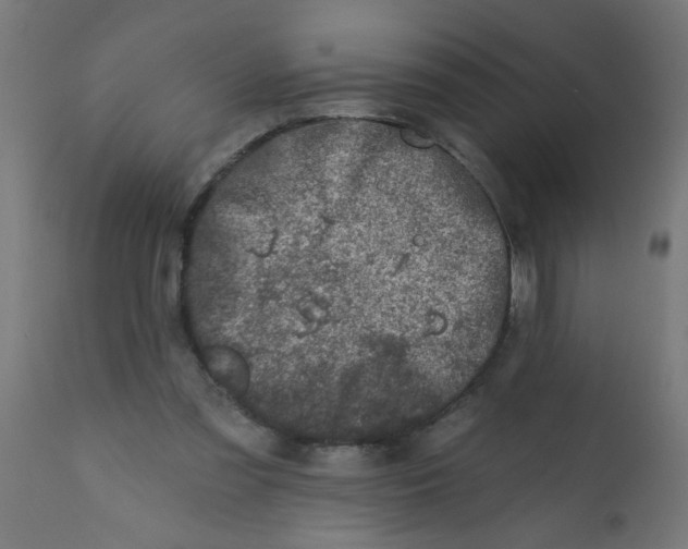 X0000113200301200910081258