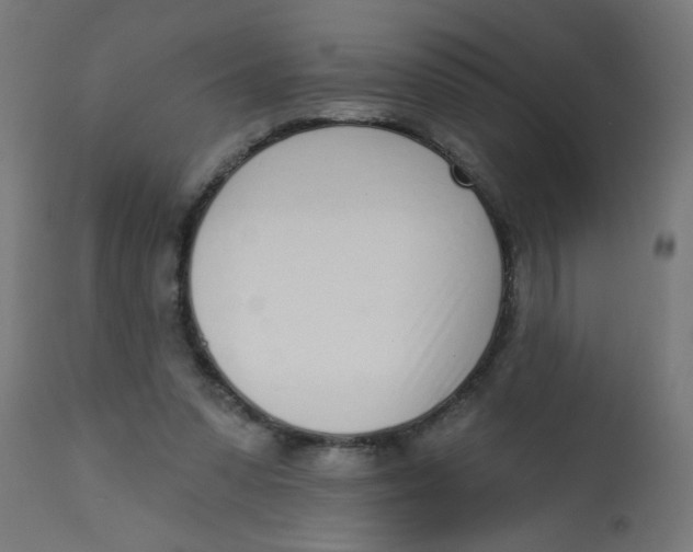 X0000113200303200910081258