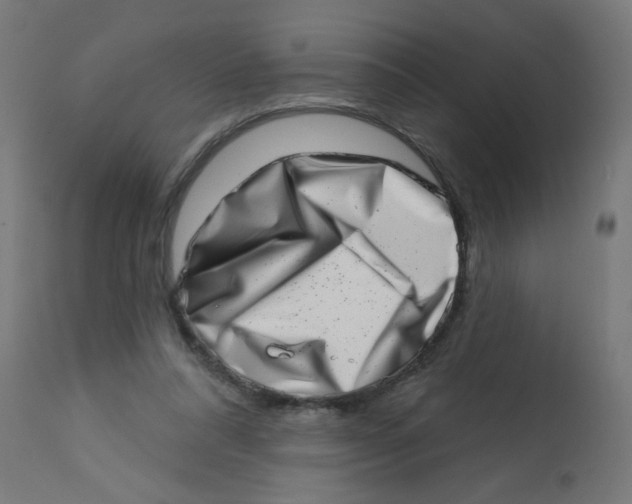 X0000113200304200910081258