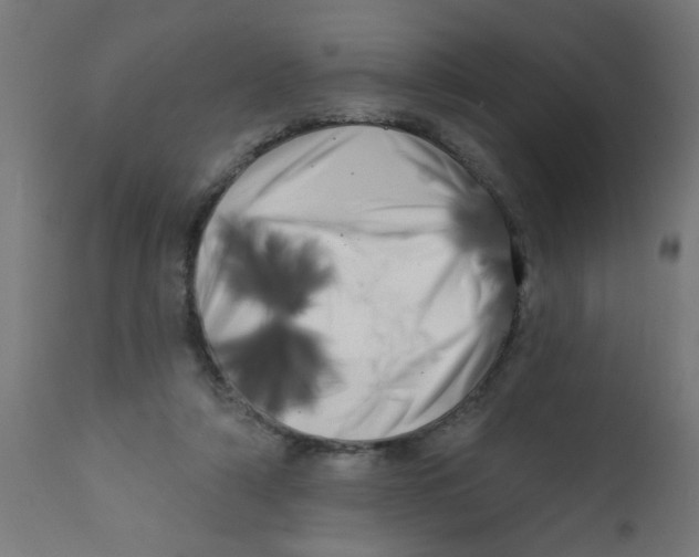 X0000113200306200910081258