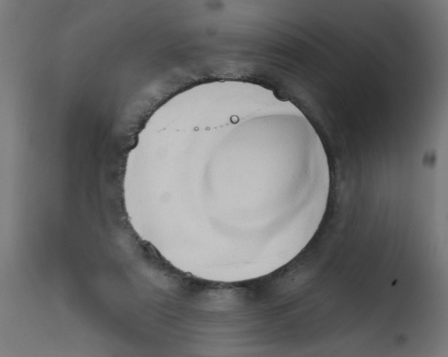 X0000113200307200910081258