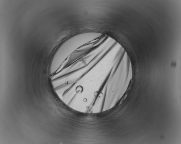 X0000113200308200910081258