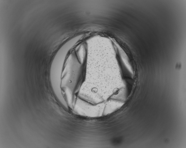 X0000113200309200910081258