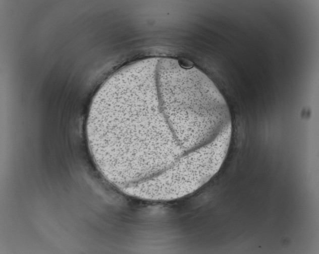 X0000113200310200910081258