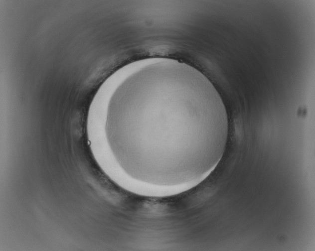 X0000113200311200910081258