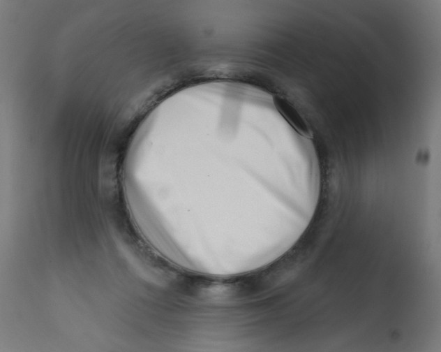 X0000113200312200910081258