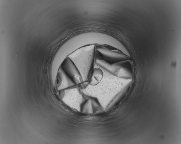 X0000113200313200910081258