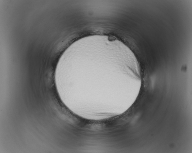 X0000113200314200910081258