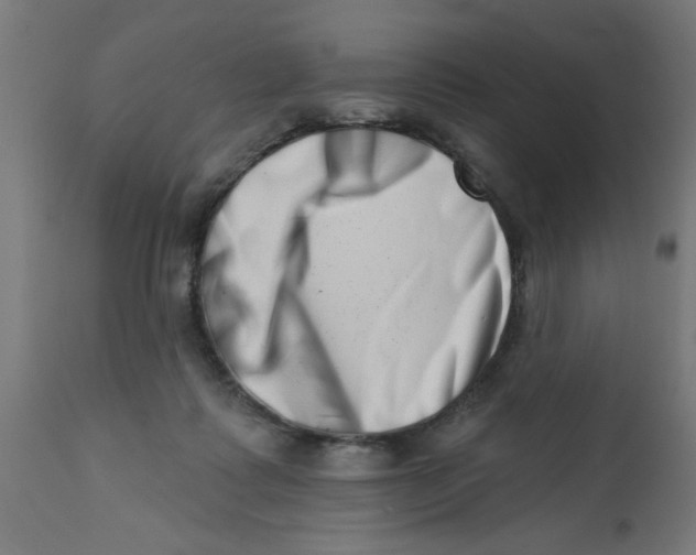 X0000113200315200910081258