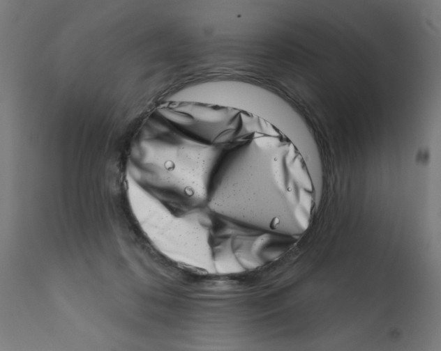 X0000113200316200910081258