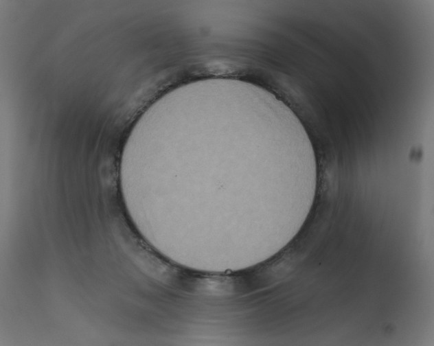 X0000113200317200910081258