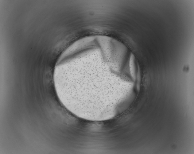 X0000113200318200910081258