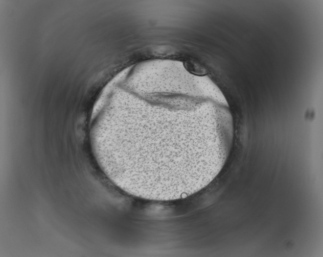 X0000113200319200910081258