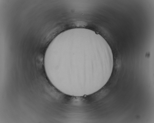 X0000113200321200910081258